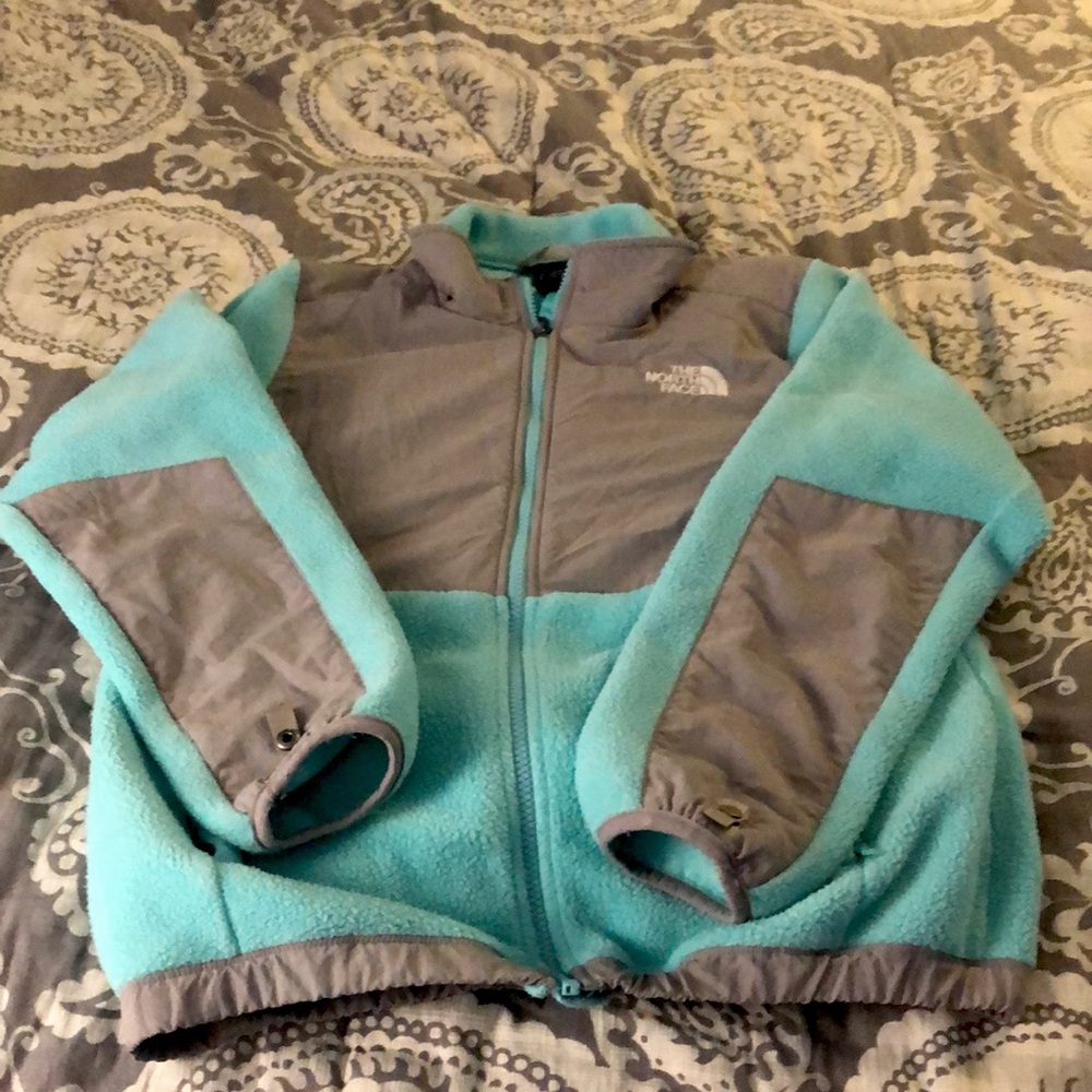 The north face jacket